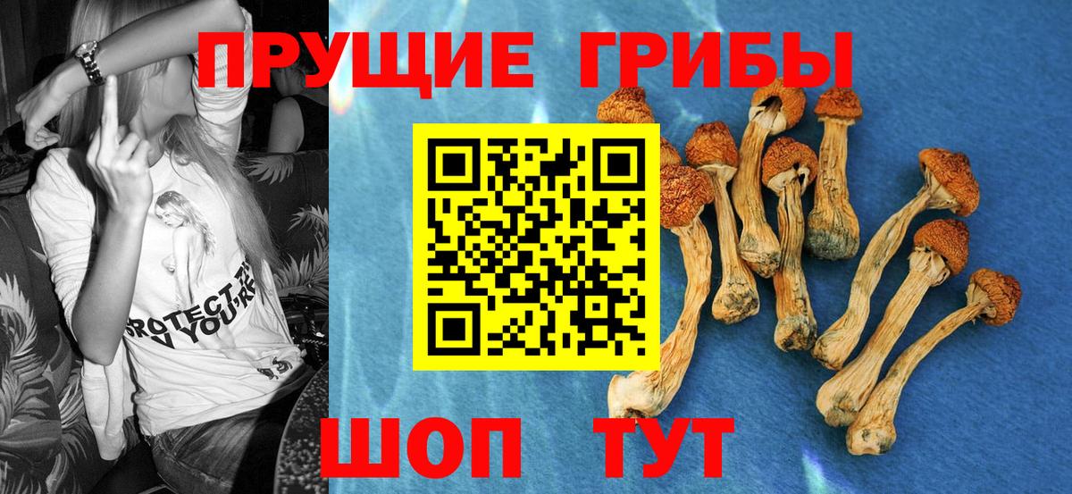 Химки  купить   Вход с VPN  Галлюциногенные грибы MAGIC MUSHROOMS 