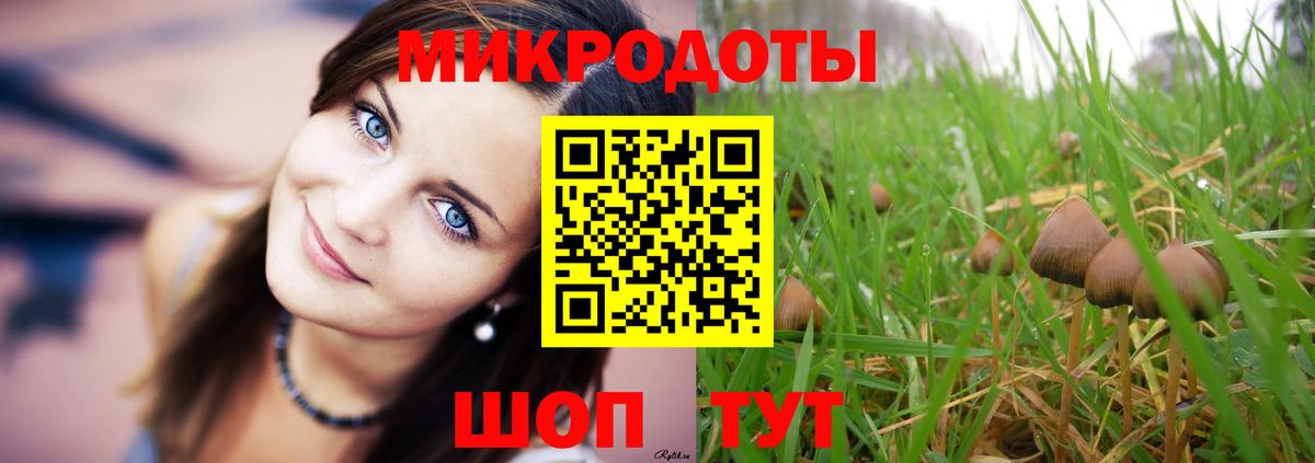 Галлюциногенные грибы мухоморы Химки